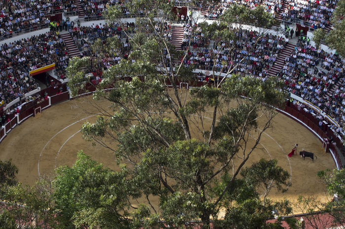 CORRECTION Colombia Bullfighting Returns