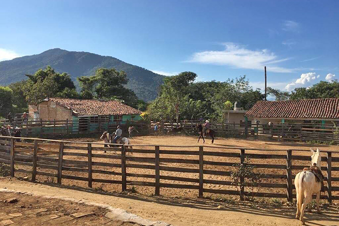 Ubican clínica donde se atiende El Mencho; él mismo la mandó construir