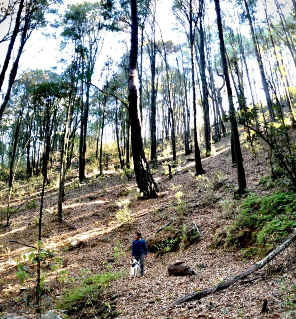 Este 3 y 4 de abril, acampa en el Cerro del Águila, el más alto de Morelia  y vive una aventura única