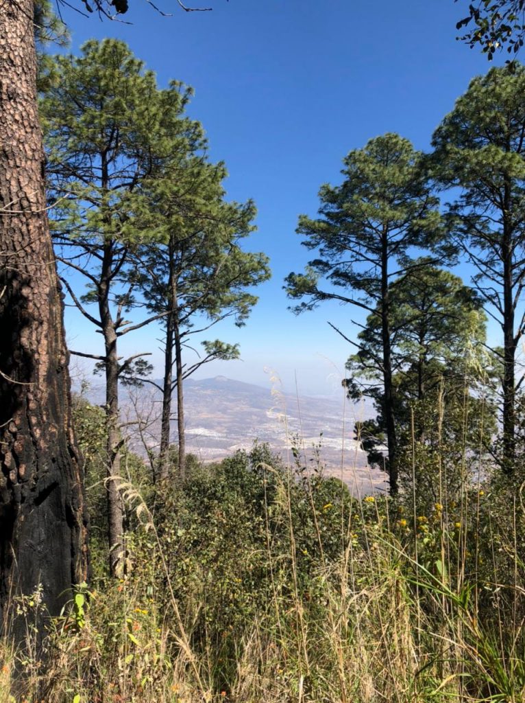 Este 3 y 4 de abril, acampa en el Cerro del Águila, el más alto de Morelia  y vive una aventura única