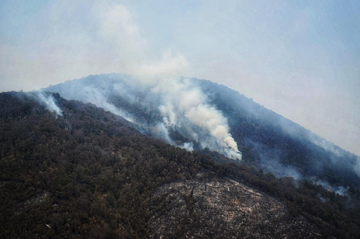 Advertencia! Si no se protege el cerro del Águila, Morelia se queda sin  agua: Cofom