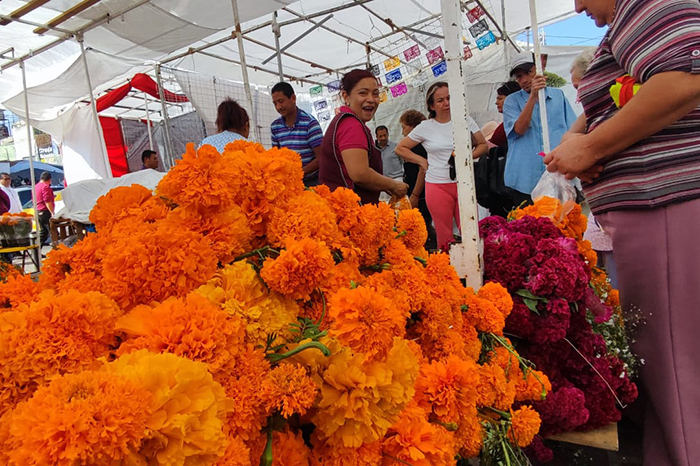 Hasta 100 pesos venden el manojo de flor de cempasúchil en mercados de  Morelia