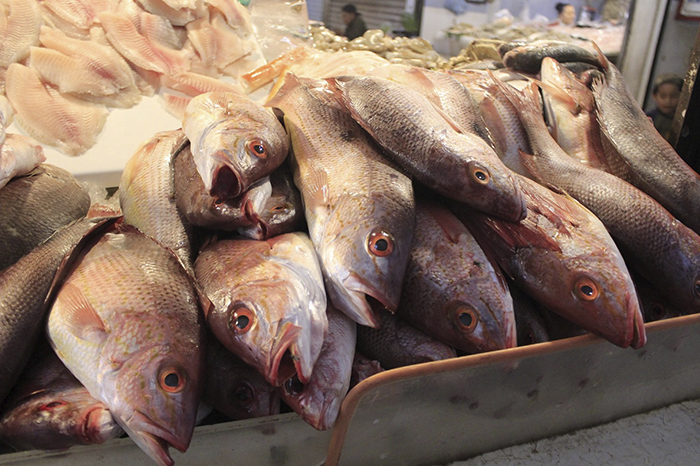 Venta de pescados y mariscos, por debajo de la expectativa; 140 toneladas  se comercializaron: Compesca