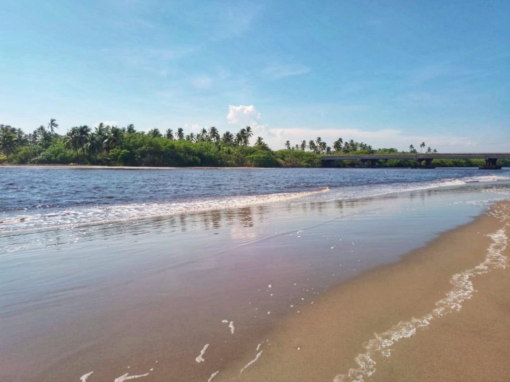 El 12 de julio, prestadores de servicios turísticos, bañistas y vecinos alertaron primeramente que un cocodrilo de los manglares, apareció nadando en el mar, cuyas playas son visitadas por turistas.