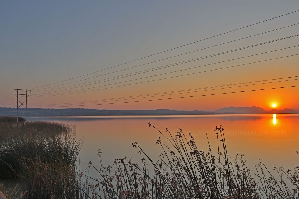 NO, EL LAGO NO HA MUERTO