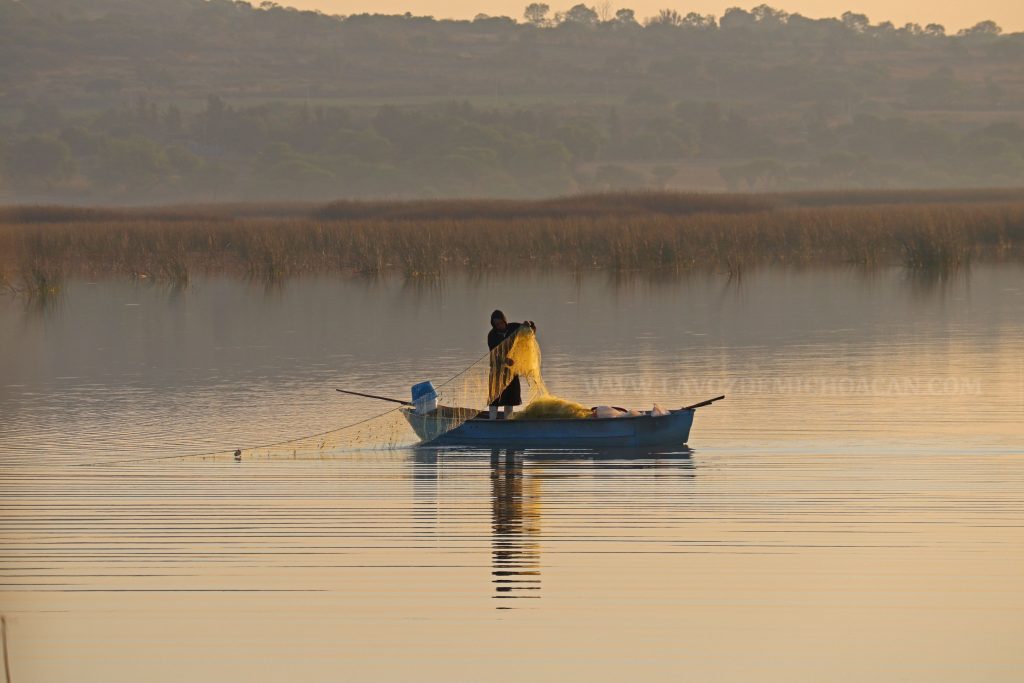 EL LAGO NO HA MUERTO